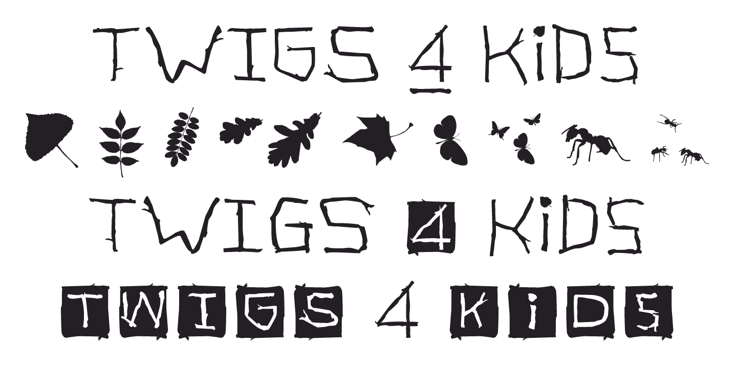 TWIGS 4 kids